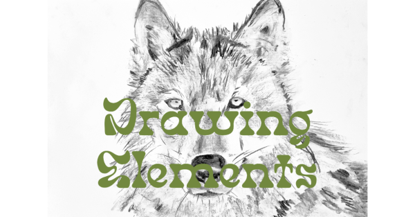 Te Wāhi Toi - Drawing Elements - a beginners' drawing class