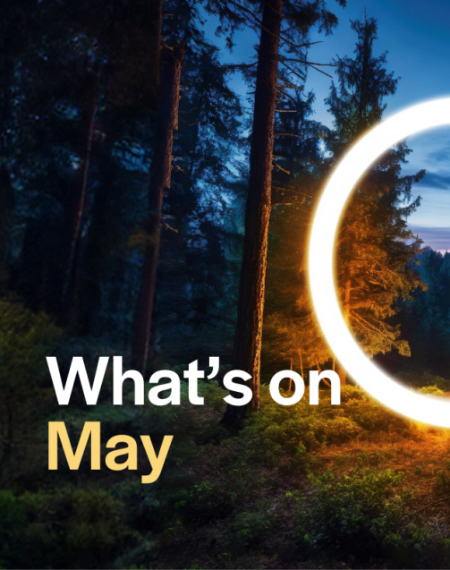 Te Wāhi Toi - News - What's on May in Queenstown, Wānaka and surrounds