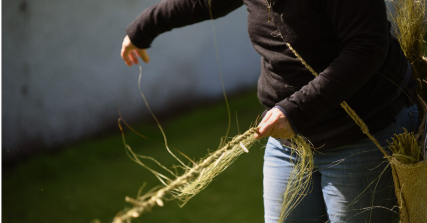 Te Wāhi Toi - Eco Sculpture & Book Making – Creative Connections with Natural and Urban Materials