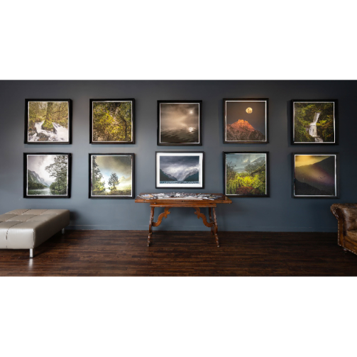 Te Wāhi Toi - Porter Gallery