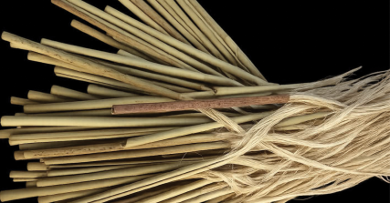 Te Wāhi Toi - Whenu ki te Whenua | The Strands that Connect Us to the Land